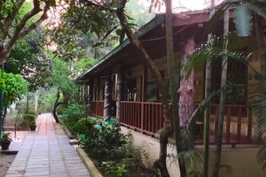 Alojamiento - Rhino Land Jungle Lodge