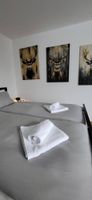 Alquiler Vacacional - Pino Nero- Apartment