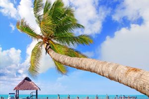 Paquete - Paquetes a Cancún