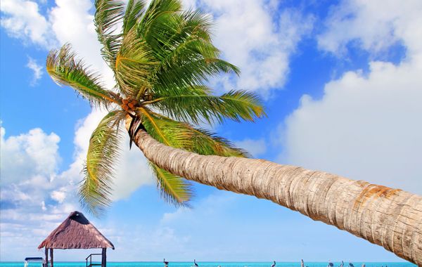 Cancun Bay All Inclusive Hotel