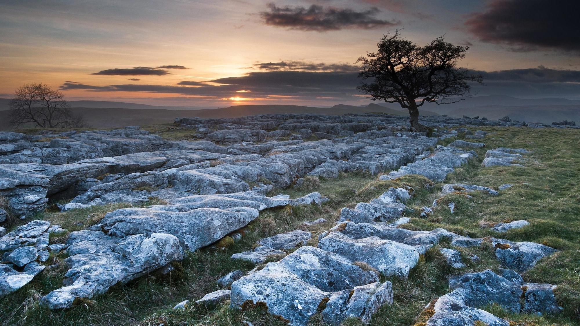 Comodidades del Alojamiento Hipping Hall