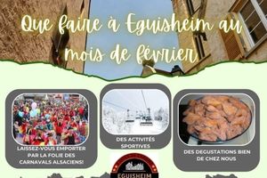 Alquiler Vacacional - Gite géranium located in Eguisheim with private parking, 10km from Colmar