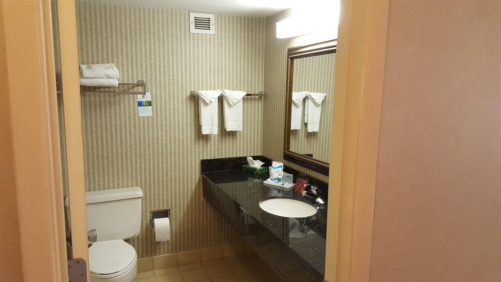 Equipamiento de Habitación Ramada Plaza by Wyndham Atlanta Airport