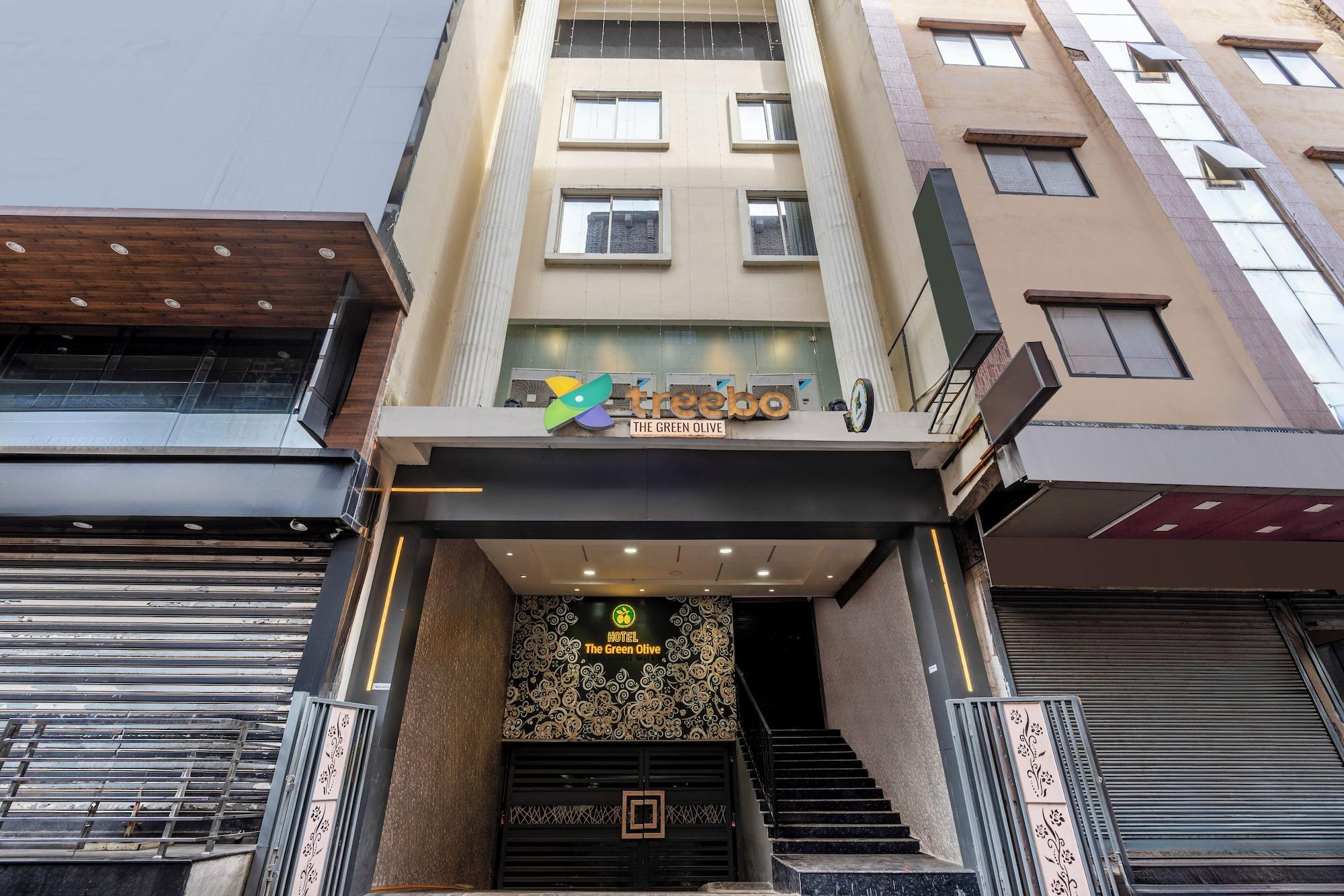 Vista Exterior Treebo Green Olive