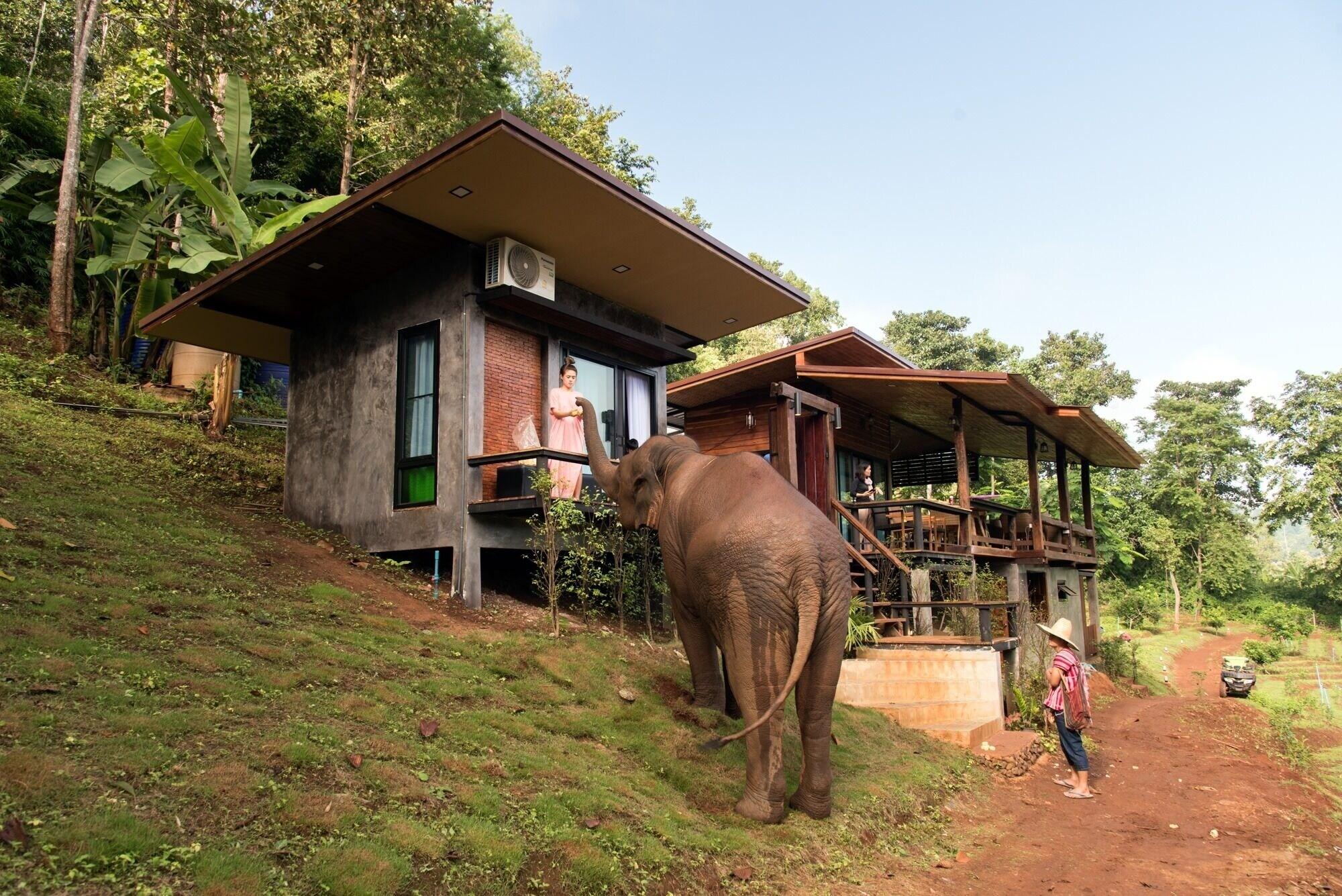 Equipamiento de Habitación Chiang Mai Elephant Friends