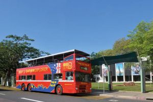 Actividad - Darwin de lujo: Tour de 2 días en autobús turístico, Crocosaurus Cove y Royal Flying Doctors