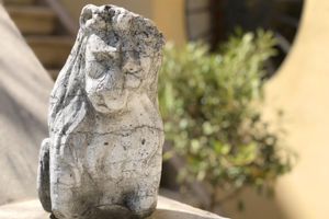 Alojamiento - Primaluce Venice