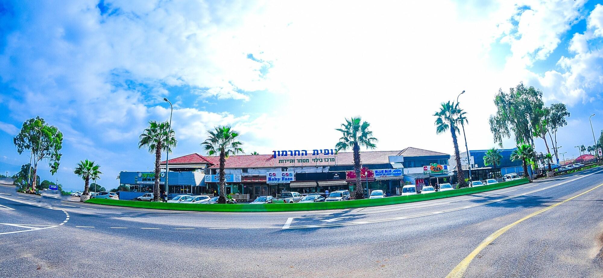 Varios Magical in the Galilee