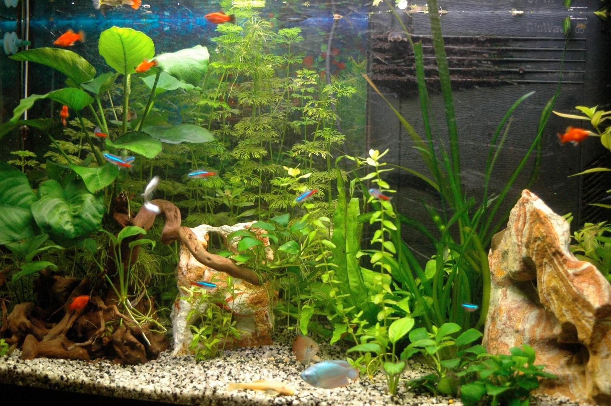 Vista Exterior Hotel Principe