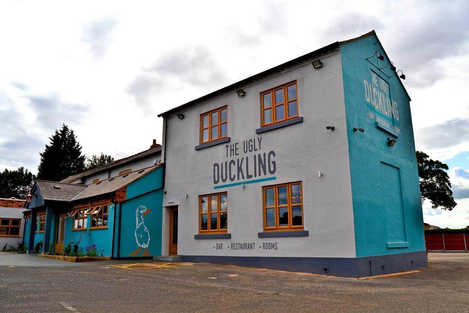 Varios The Ugly Duckling