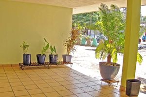 Alojamiento - Hotel Avenida