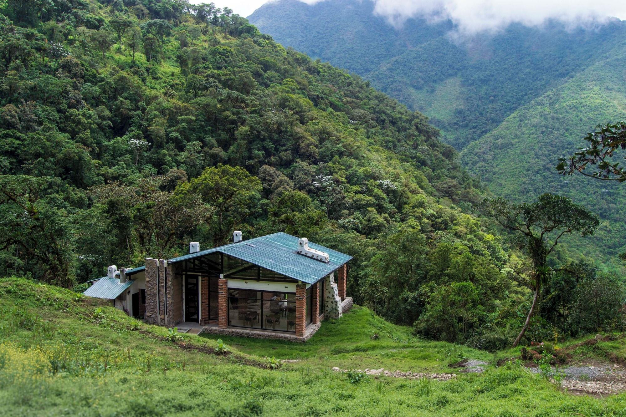 Vista Exterior Neblina Bird