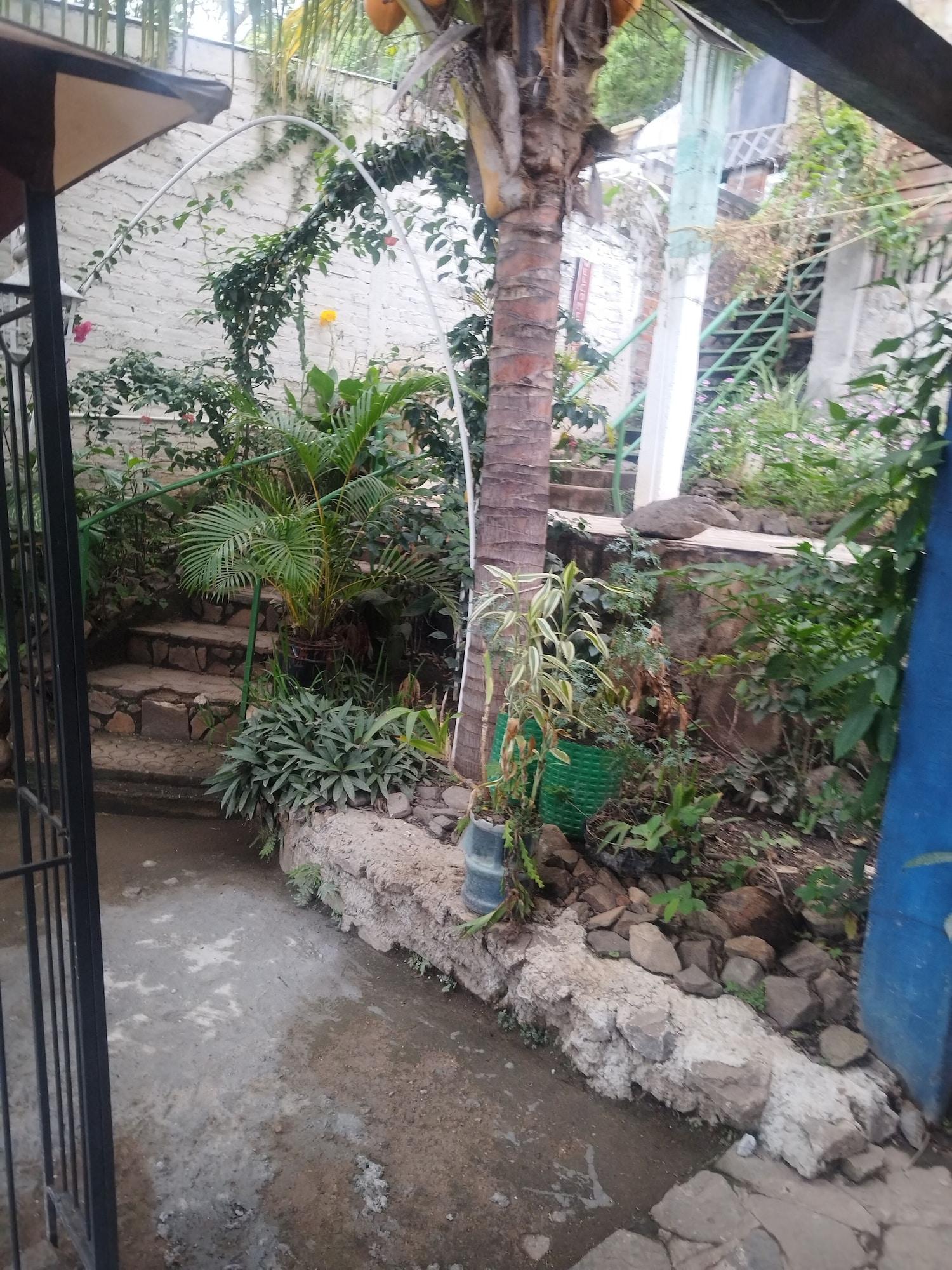 Vista Exterior Hostal y Restaurante Tiki Island