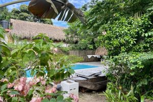 Alojamiento - Kawabonga Hostel