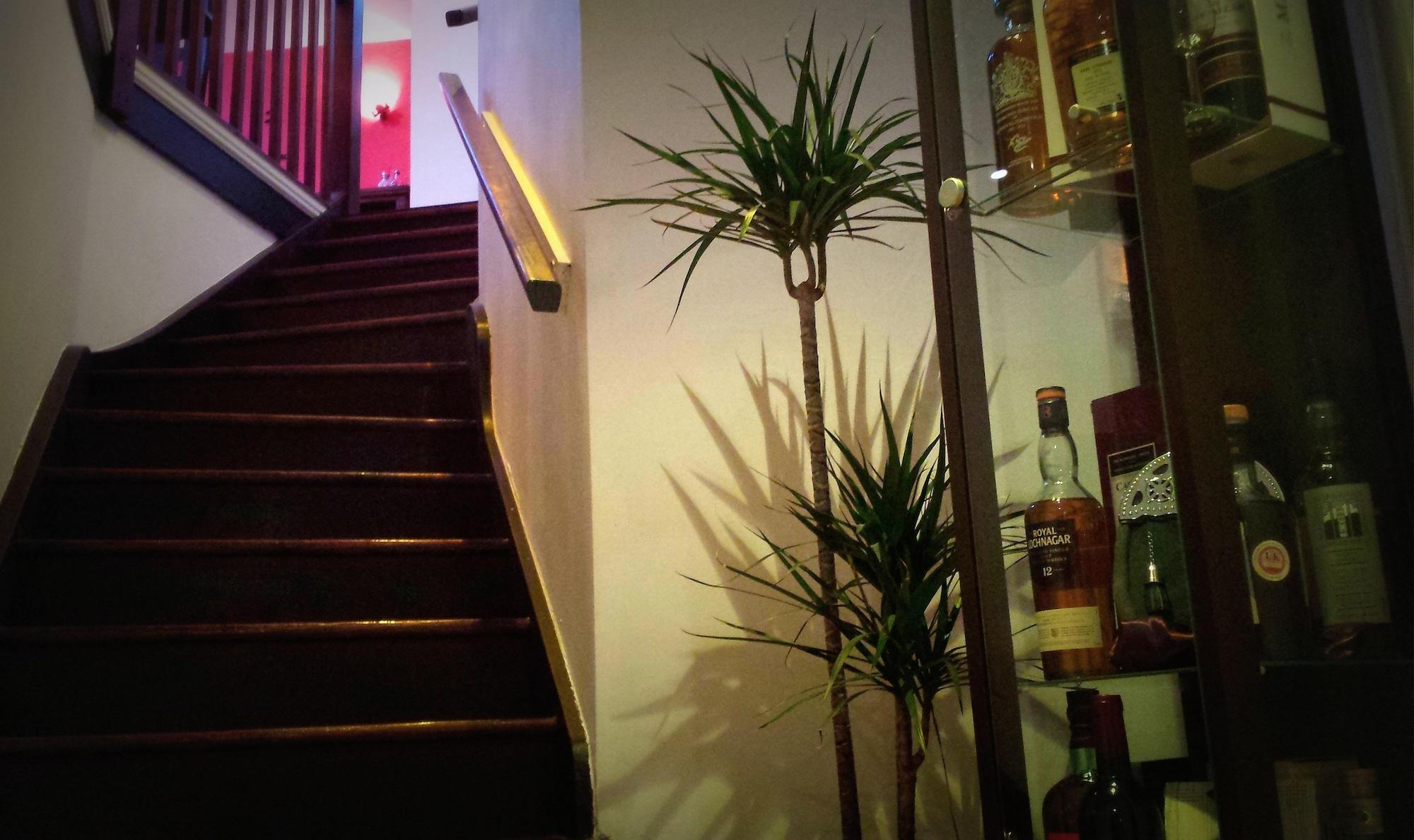 Vista Lobby Robin 7 Lodge City Centre