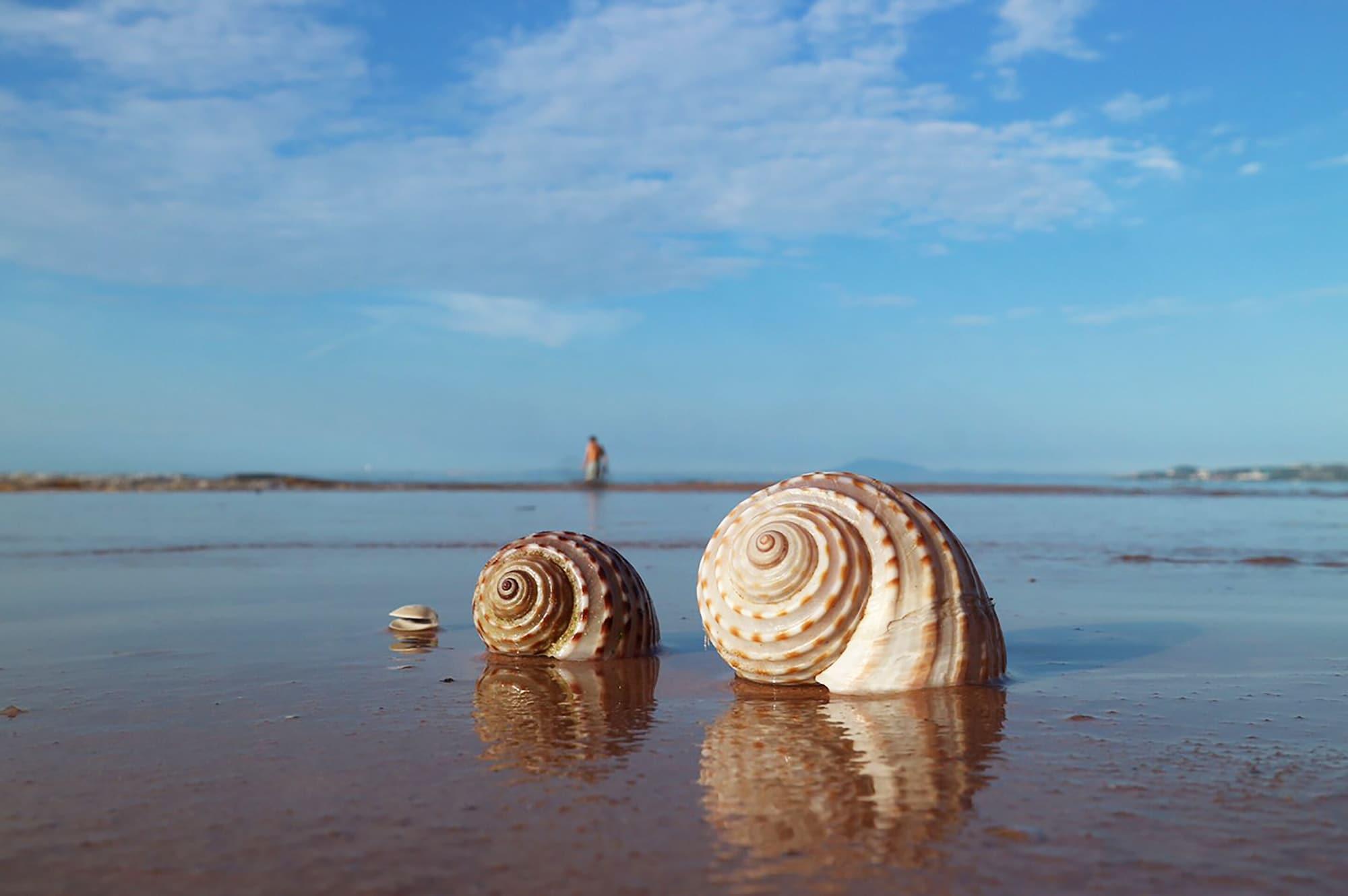 Playa Quoc Dinh Guesthouse