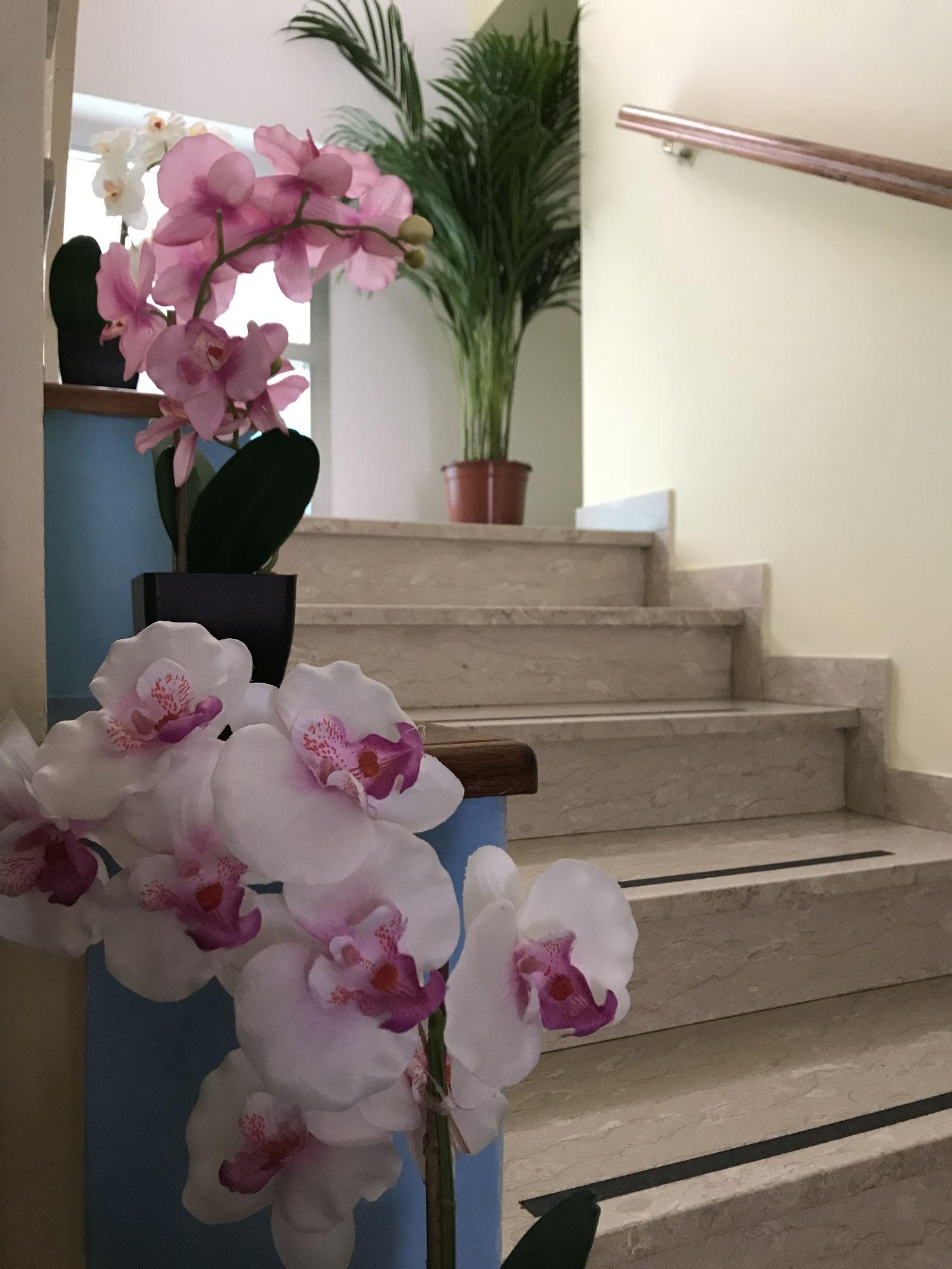 Varios Hotel Roberta