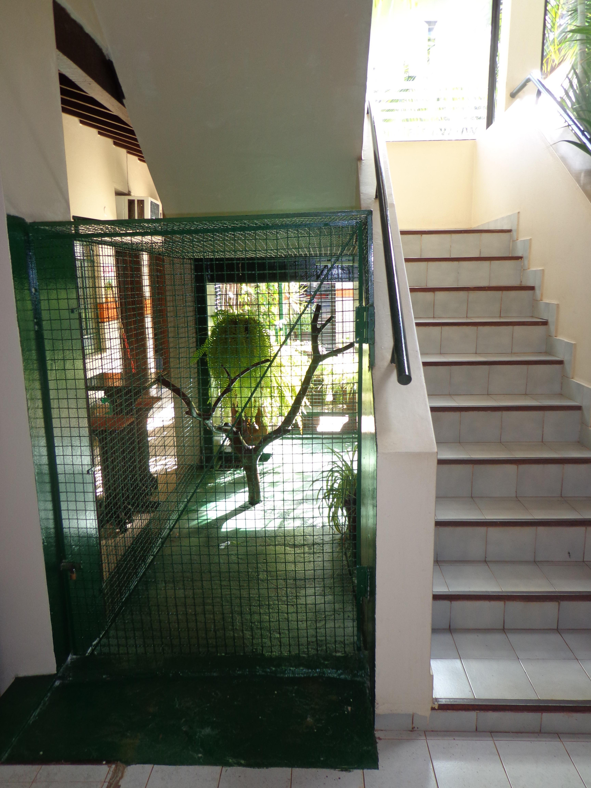 Varios Mi Abuela Hotel