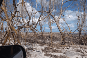 Actividad - Tour por la Costa Oeste