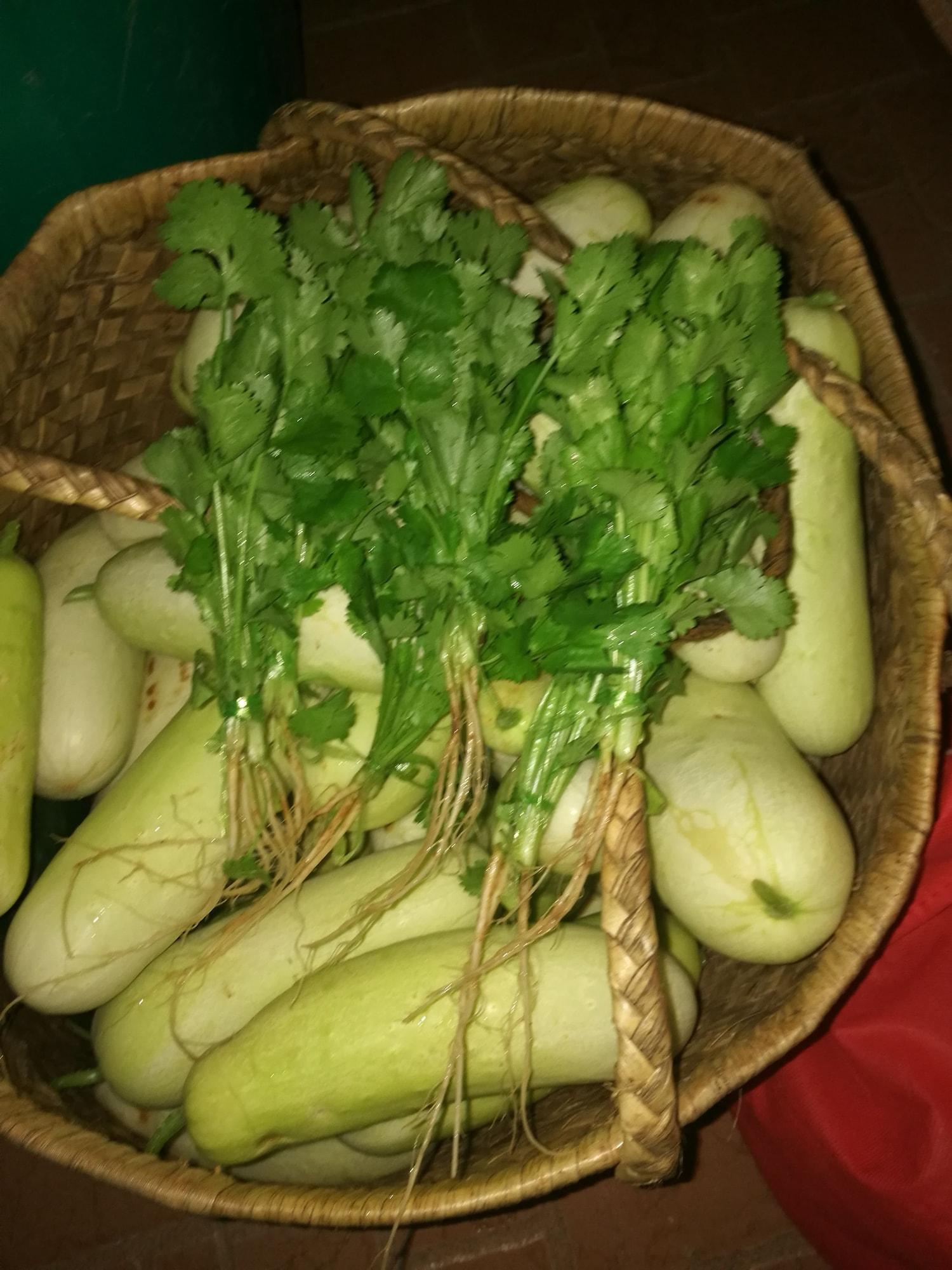 Restaurant Reve des Iles