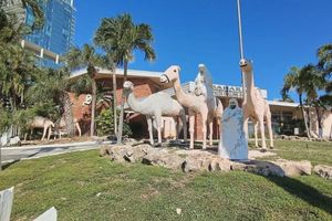 Alojamiento - Sahara Beach Club