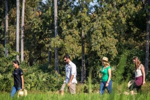 Actividad - Clase de cocina camboyana