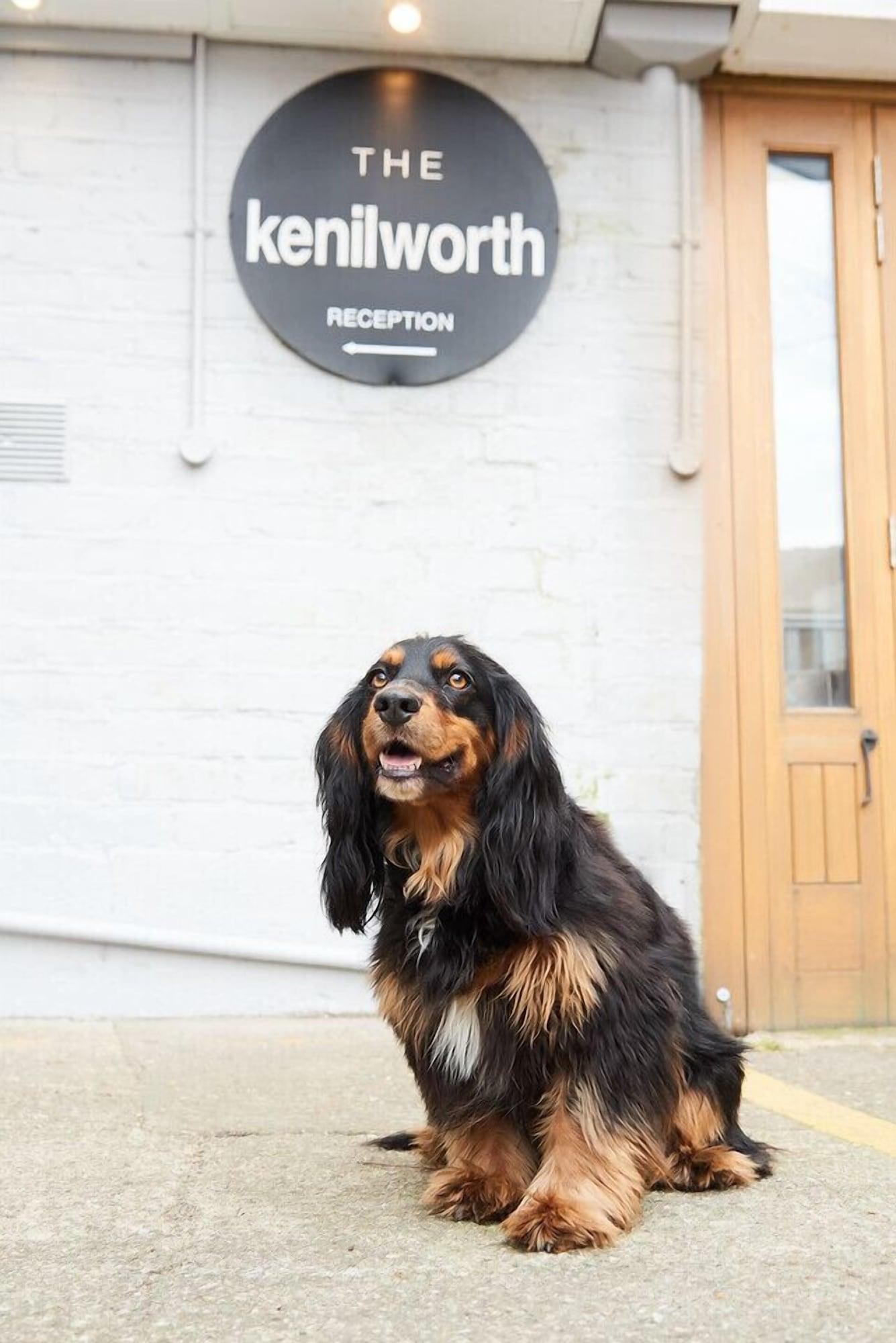 Comodidades del Alojamiento The Kenilworth