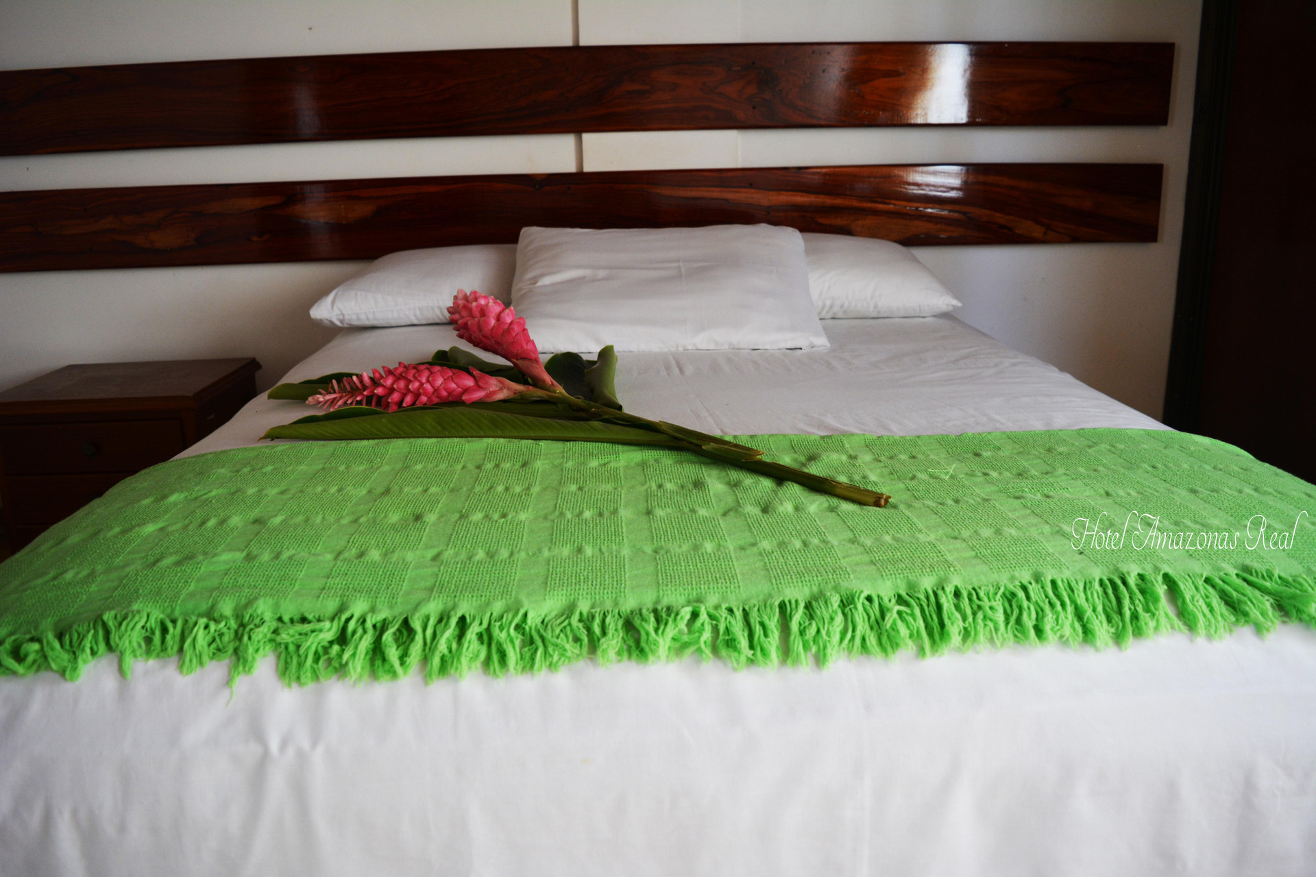 Habitación Hotel Amazonas Real