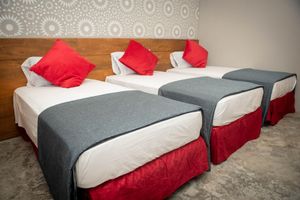 Alojamiento - Canova