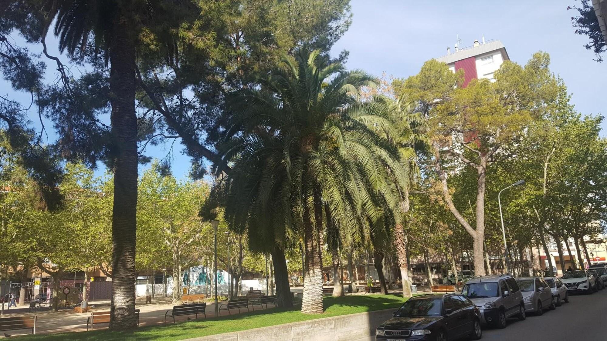 Comodidades del Alojamiento Hostel Penedes