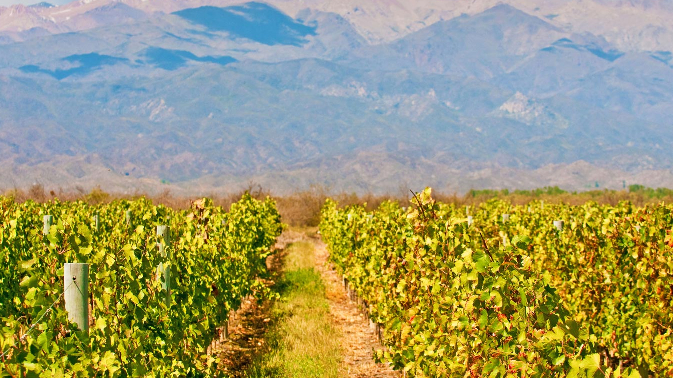 Mendoza