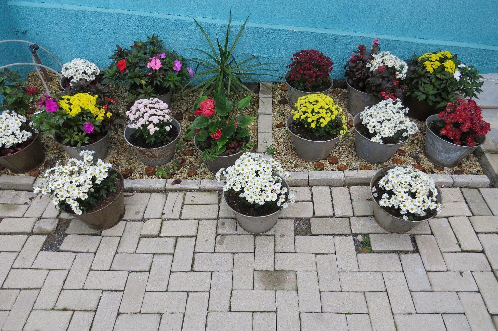 Comodidades del Alojamiento Pousada do Russo Blumenau