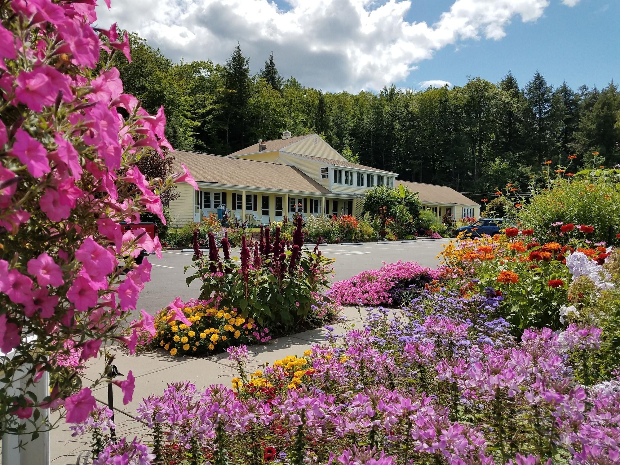 Varios Bay Top Motel