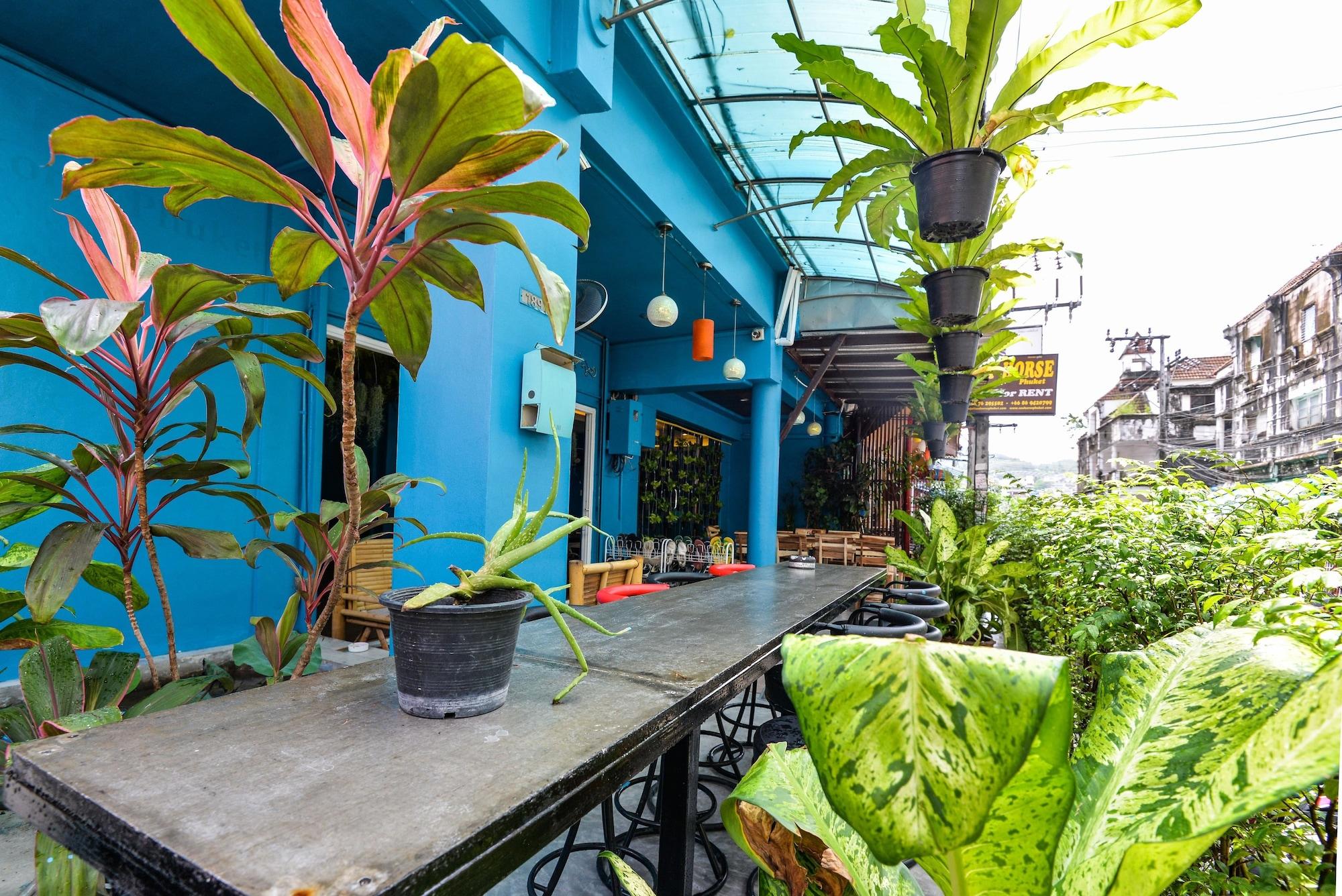 Vista Lobby BGW Phuket - Hostel