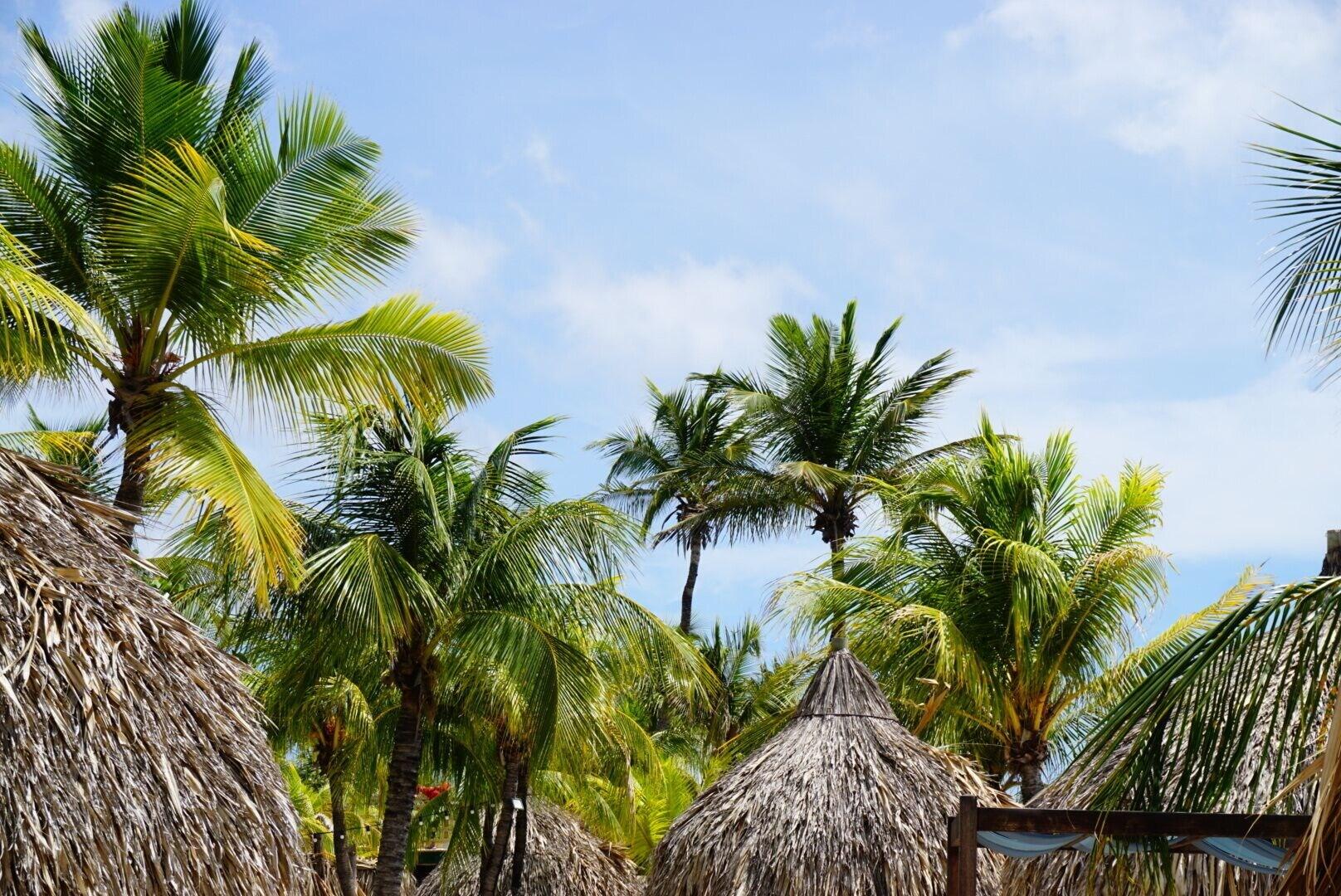 Playa Boca Simon Vacation Curacao