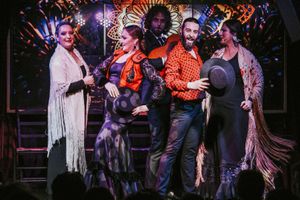 Actividad - Show flamenco en Teatro Flamenco Málaga