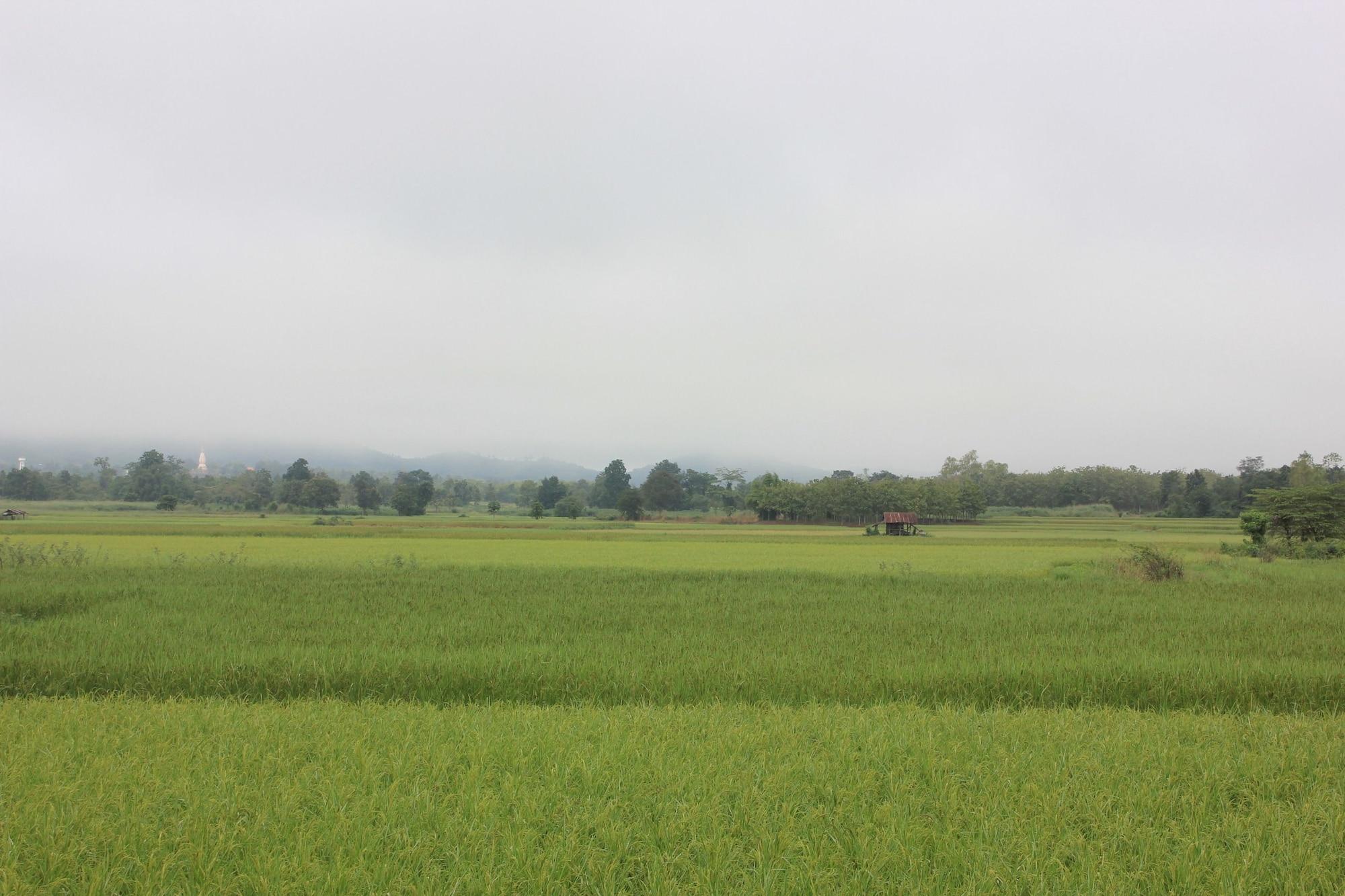 Vista Exterior Le Bar Tarry Hotel