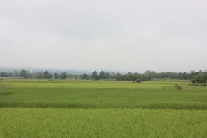 Alojamiento - Le Bar Tarry Hotel