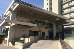 Alojamiento - Mogano Business Hotel