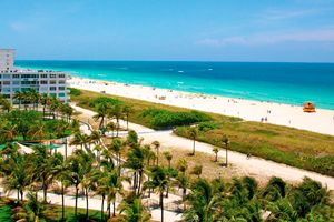 Pacote - Palm Tree Club Miami