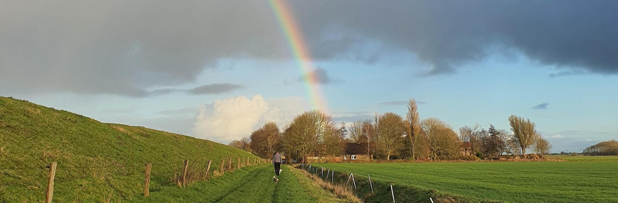 Varios Hotel Deichinsel