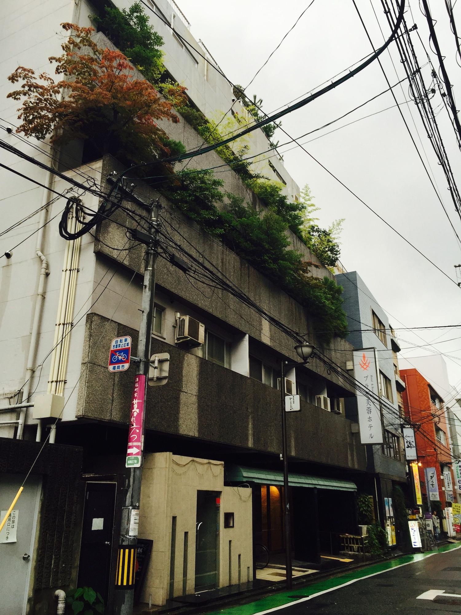 Vista Exterior Plaza Fuyo Hotel