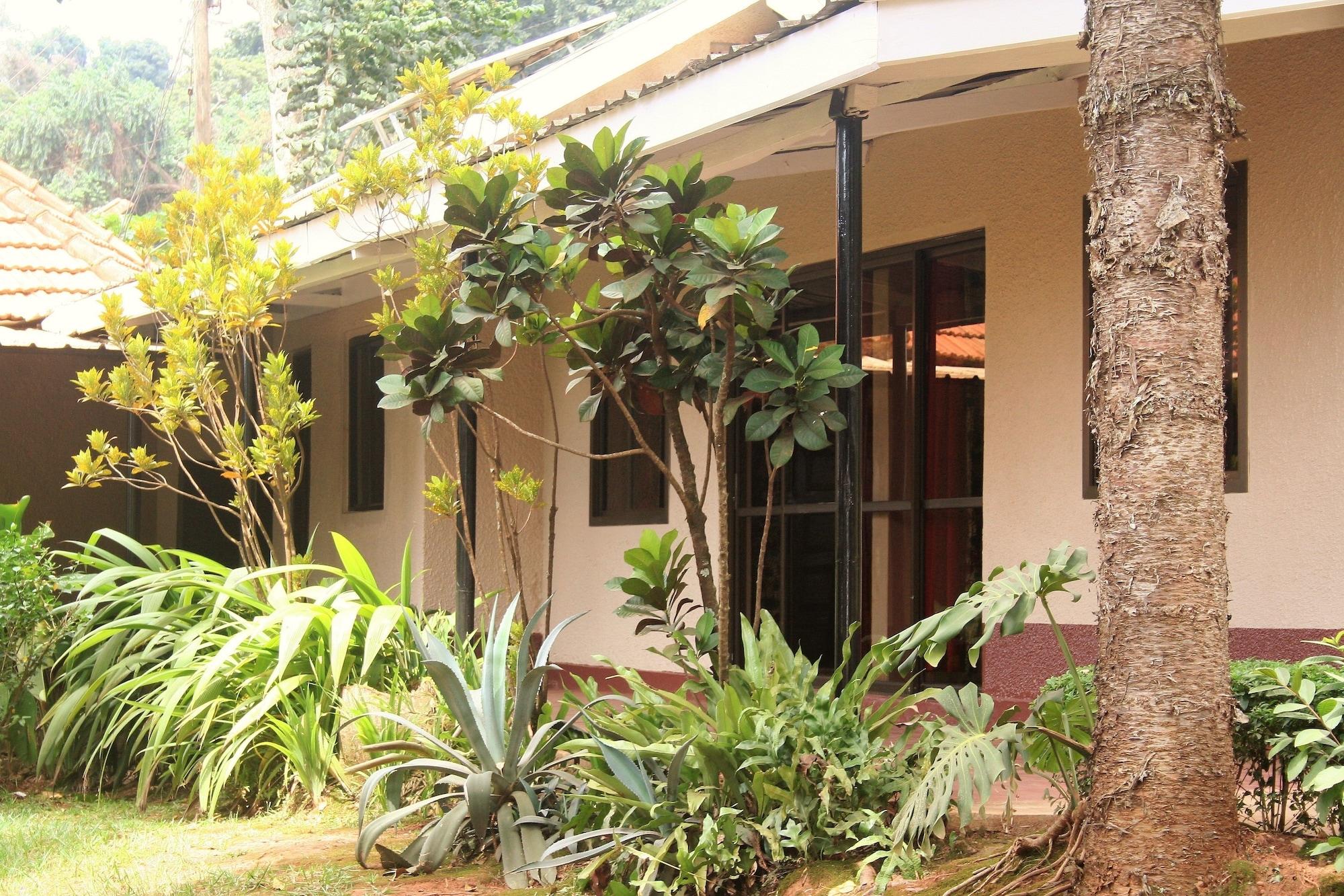 Equipamiento de Habitación Bromelia Guesthouse