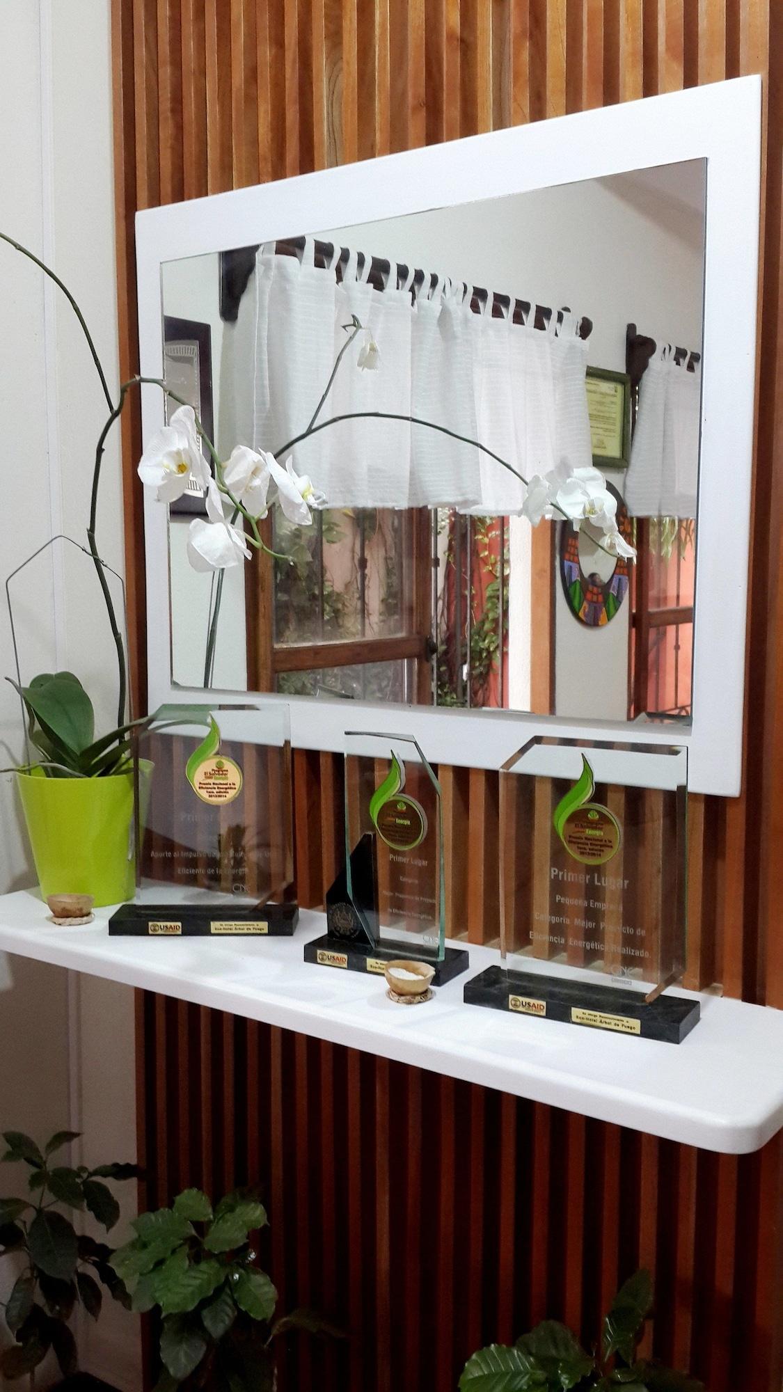Vista Lobby Árbol de Fuego Eco-hotel, a green experience in the city