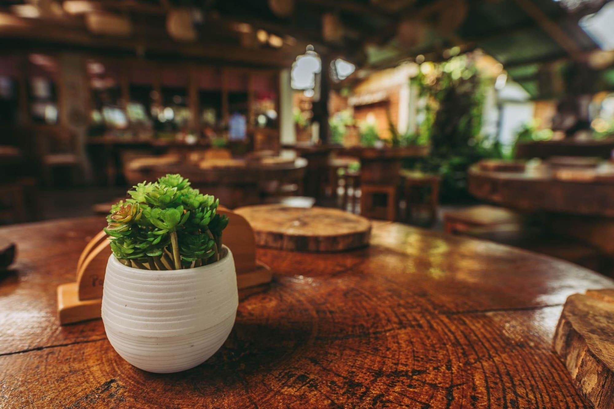 Restaurant Posada Edelweiss