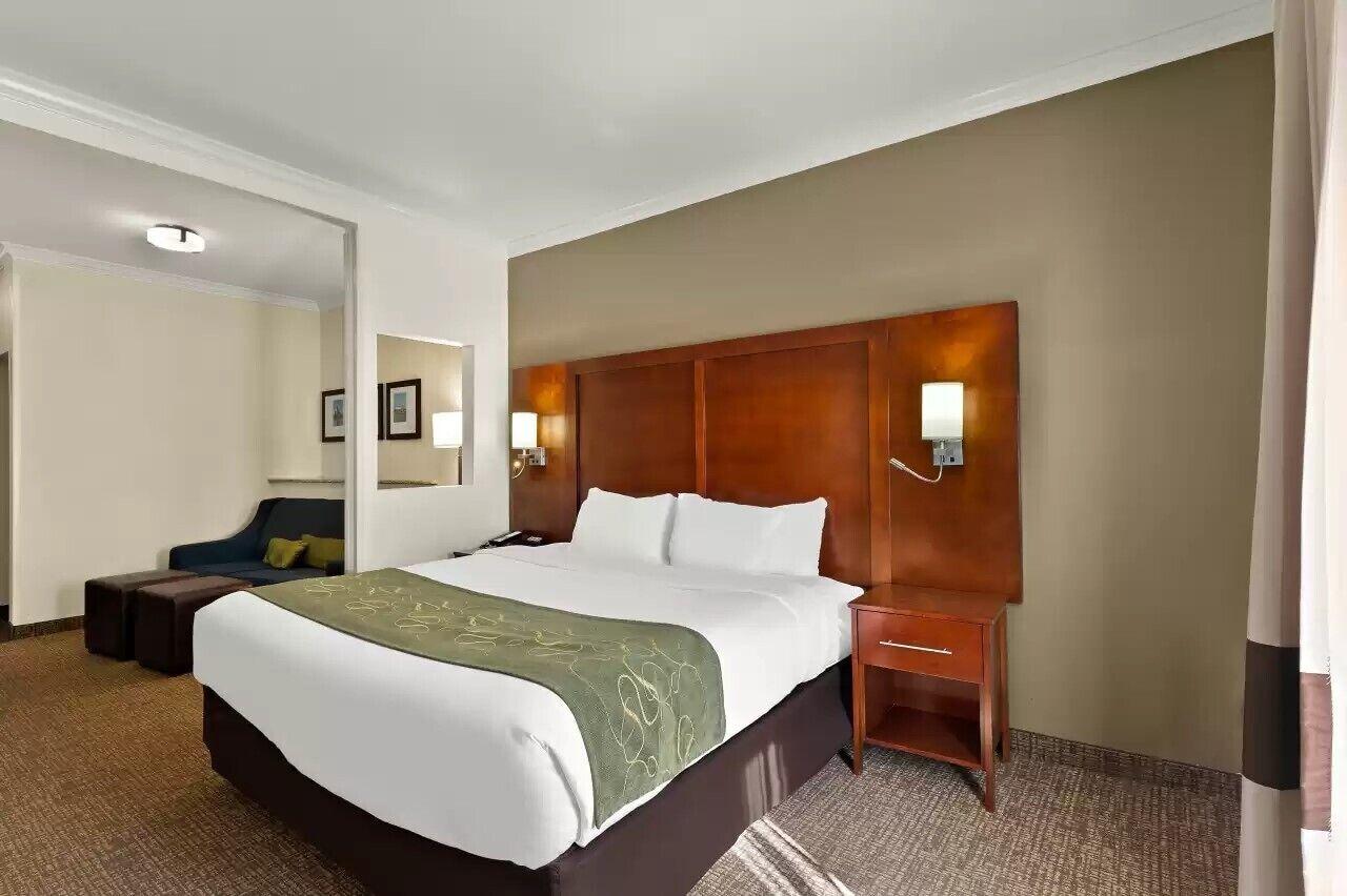 Habitación Comfort Suites Corpus Christi Central