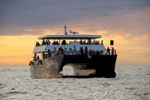 Actividad - Cena al atardecer y Arco de Cabo San Lucas