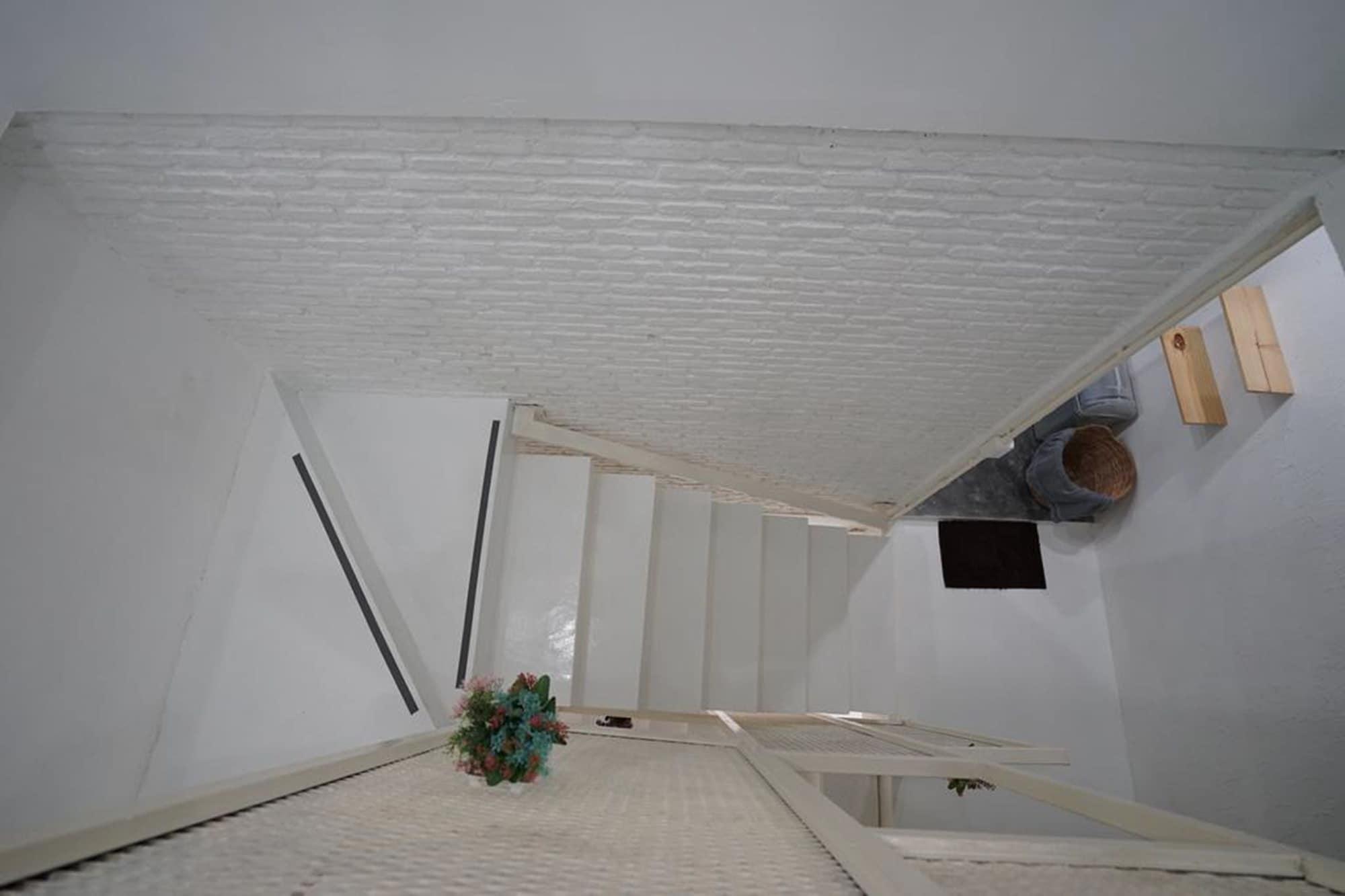 Varios Rabbitat Hostel