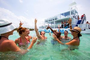 Actividad - Acuario divertido desde Punta Cana