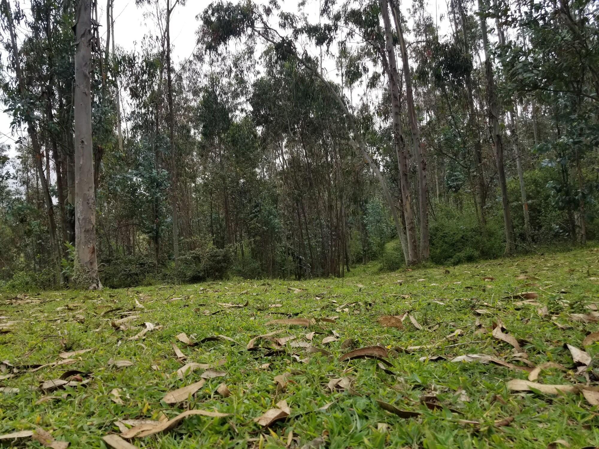 Instalaciones Recreativas Hacienda San Isidro de Iltaqui